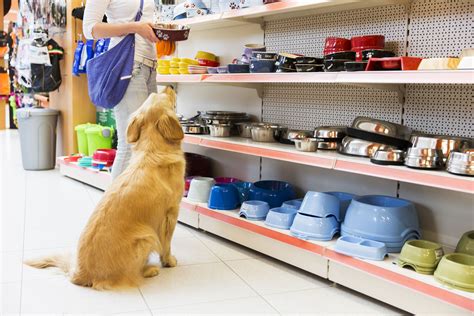 qualipet solothurn|THE BEST 10 Pet Stores in ERLINSBACH, SOLOTHURN,。